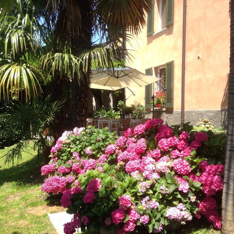 Antico Glicine B&B Maslianico Exterior foto